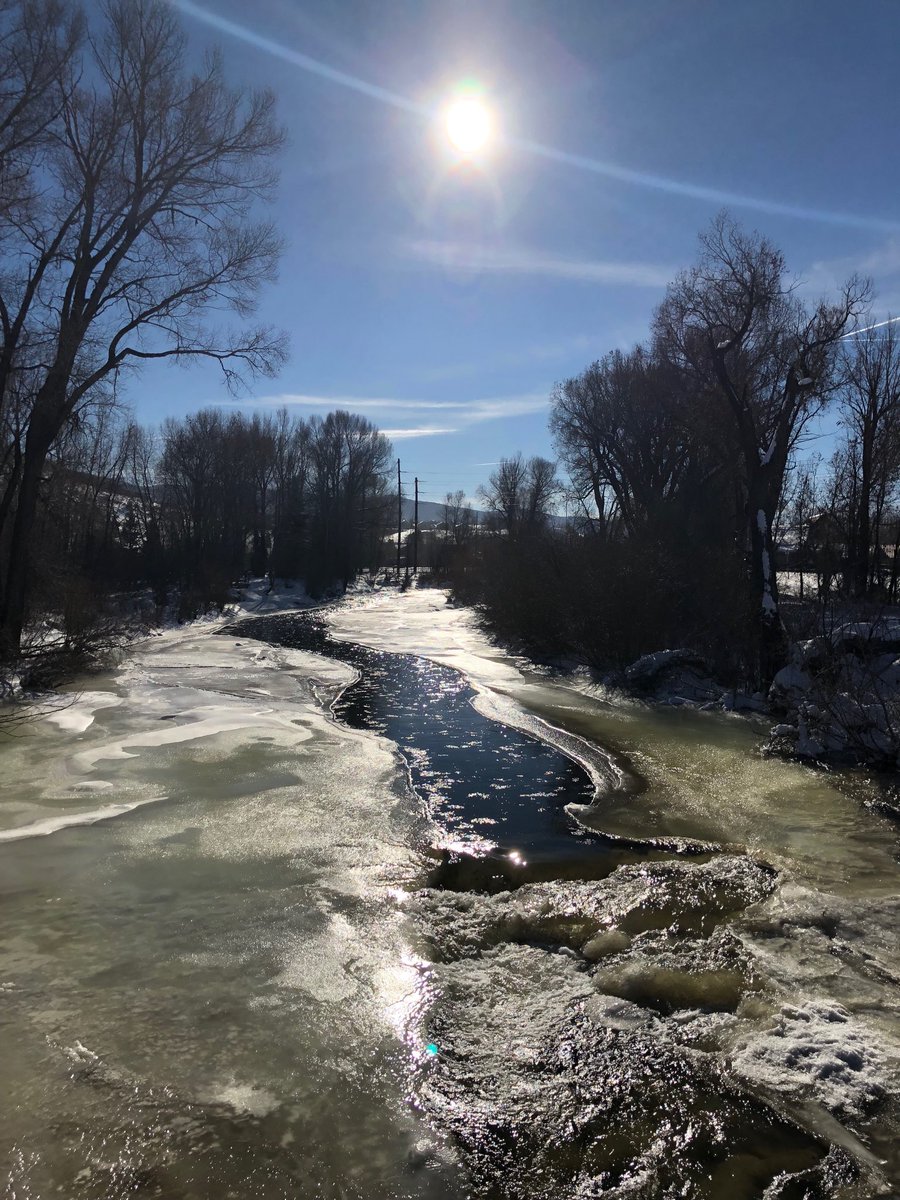 Syed Doha® tweet media