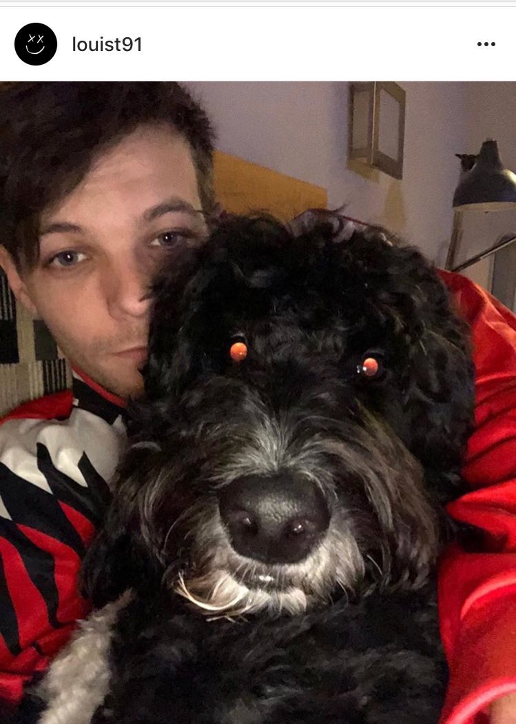 louis1d96's tweet photo. ワンちゃんをわたしに当てはめると(なんでぇ)わたしの頭にほっぺと半分口をつけて、包み込むようにバックハグしてる風からの後ろから手を伸ばして自撮りしてるってこだ。これは自分に当てはめちゃうとやばいやつですな☺️☺️☺️ https://t.co/eUGpZi2PMG