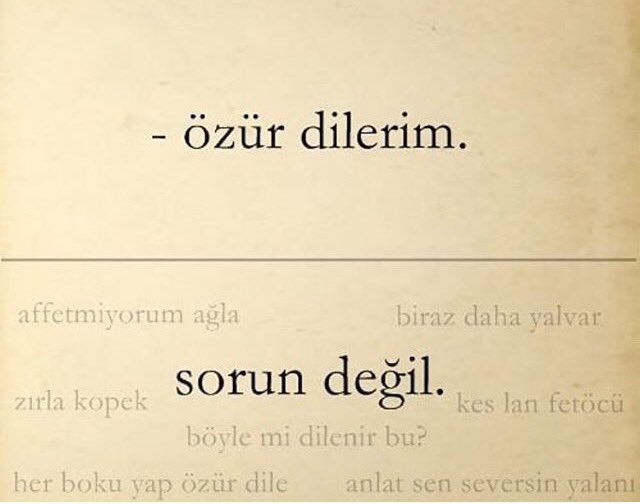 Aslında söylenmek istenen😏