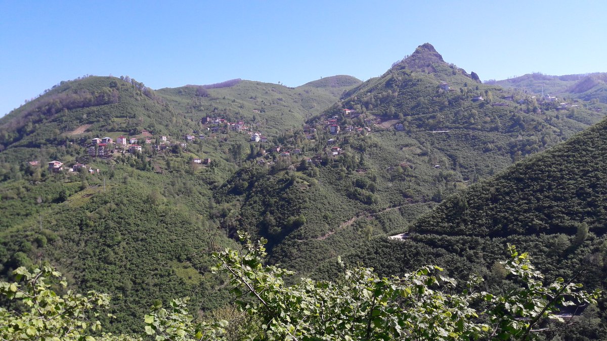 Selam giresun dan ğünaydın yenibirgüne