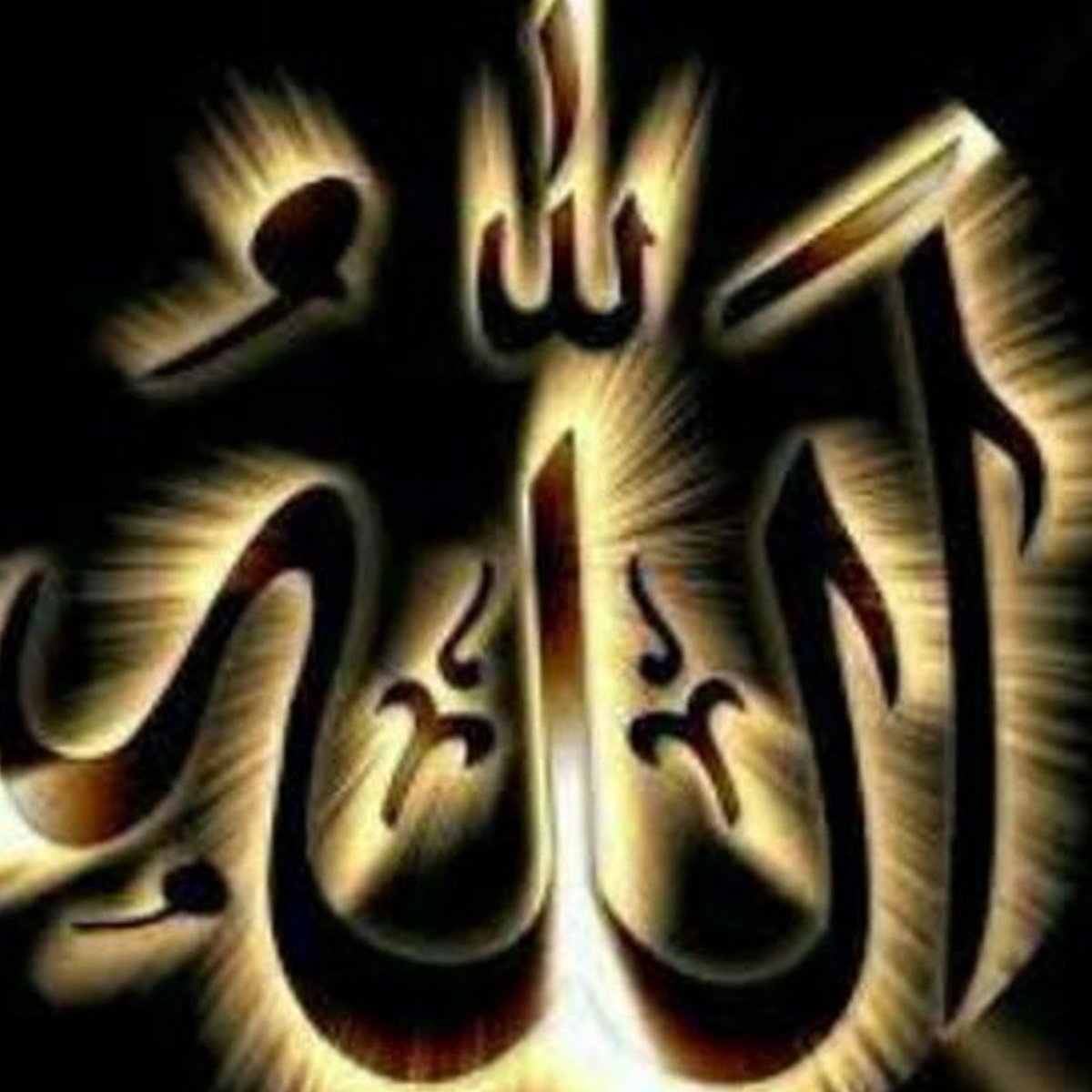 queenuae7's tweet photo. #صورة_ملف_شخصي_جديدة https://t.co/kCHQebYq2y