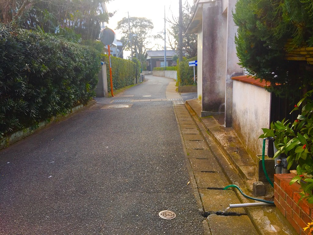 千鳥チルドレン