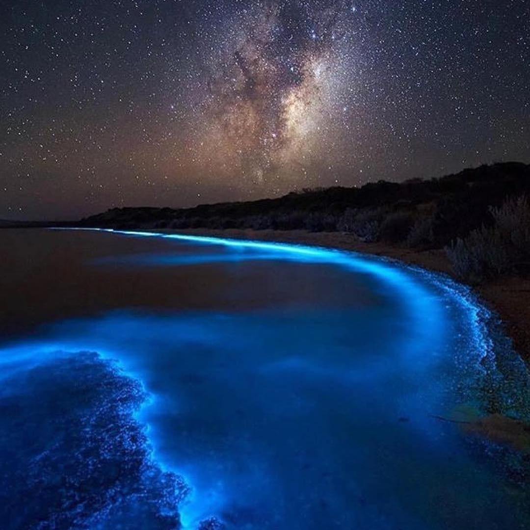 Фантастика!!!!!