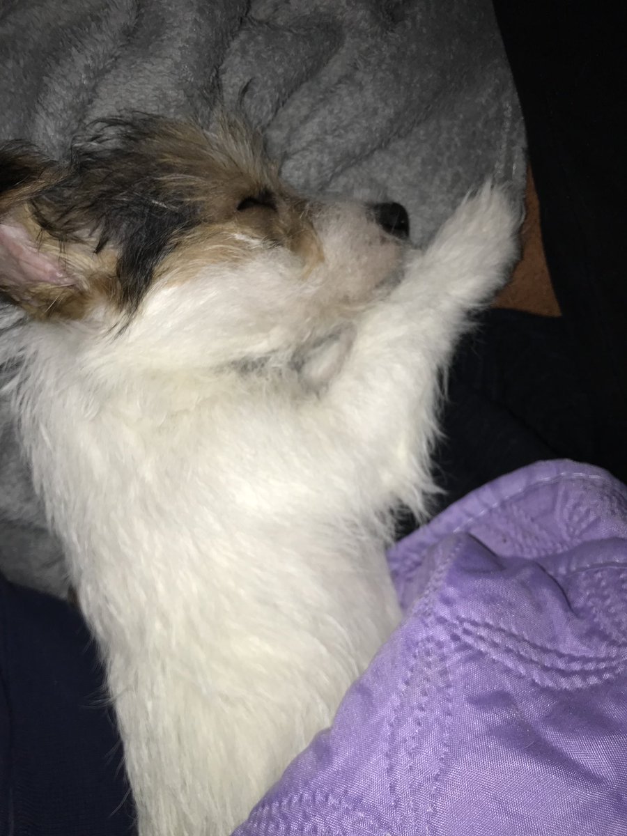 Mornings like this.. #jk #ilovemyjrt