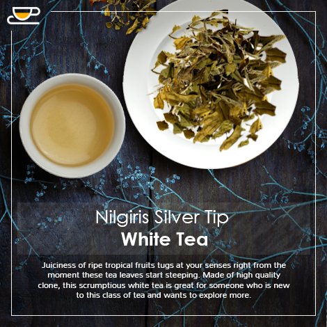Teafloor On Twitter Get The Latest White Tea Made Of High