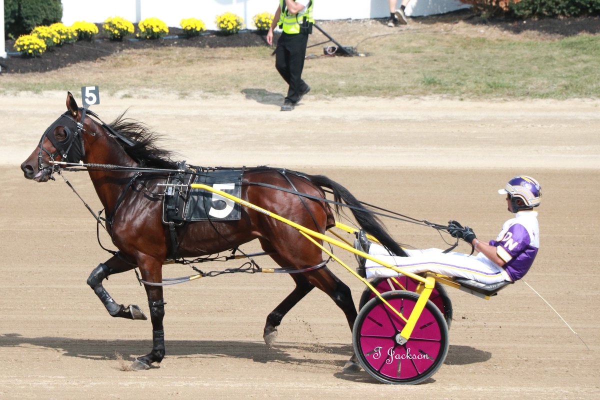 hoosiernations's tweet photo. GoodMorning @Chris_wponies @JoannKi32885615 @rebelsart @vnssa926 @dolenski_john @jtlburn @kimberlymoier @KathleenBaitzel @SadandSulk @blongphee67 @horseraceguy101 #Luvyatothemoon #DanNoble #Delaware https://t.co/6P9R78zuqn