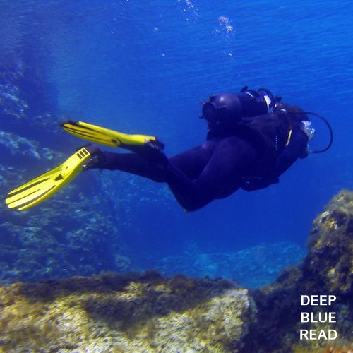 DeepBlueRead's tweet image. Πώς θα ήταν η ζωή μας αν την αντιμετωπίζαμε σαν μια κατάδυση; Αν εφαρμόζαμε τους κανόνες και τη νοοτροπία που έχουμε σαν δύτες, στην καθημερινή μας ζωή; Σκεφτείτε… όλη μας η ζωή, μια κατάδυση! goo.gl/uVcmDk   #DeepBlueRead #article #scuba #scubadiving  #sea #Cyprus