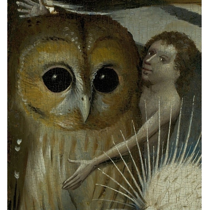 Damien Kempf tweet media