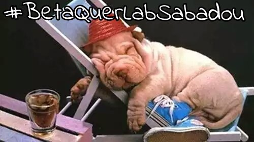 Bom dia amigos! #BetaQuerLabSabadou preguiçoso pq a sexta-feira foi de arrasar. Então depois do descanso trabalhar ou ficar morgando será a ótima opção! Deus abençoe todos vocês. 😘😘😘