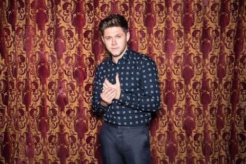 nhwritten's tweet photo. niall’s pictures have me not okay https://t.co/cpdFoUrlIa