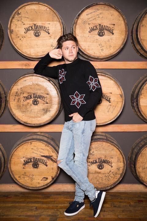 nhwritten's tweet photo. niall’s pictures have me not okay https://t.co/cpdFoUrlIa