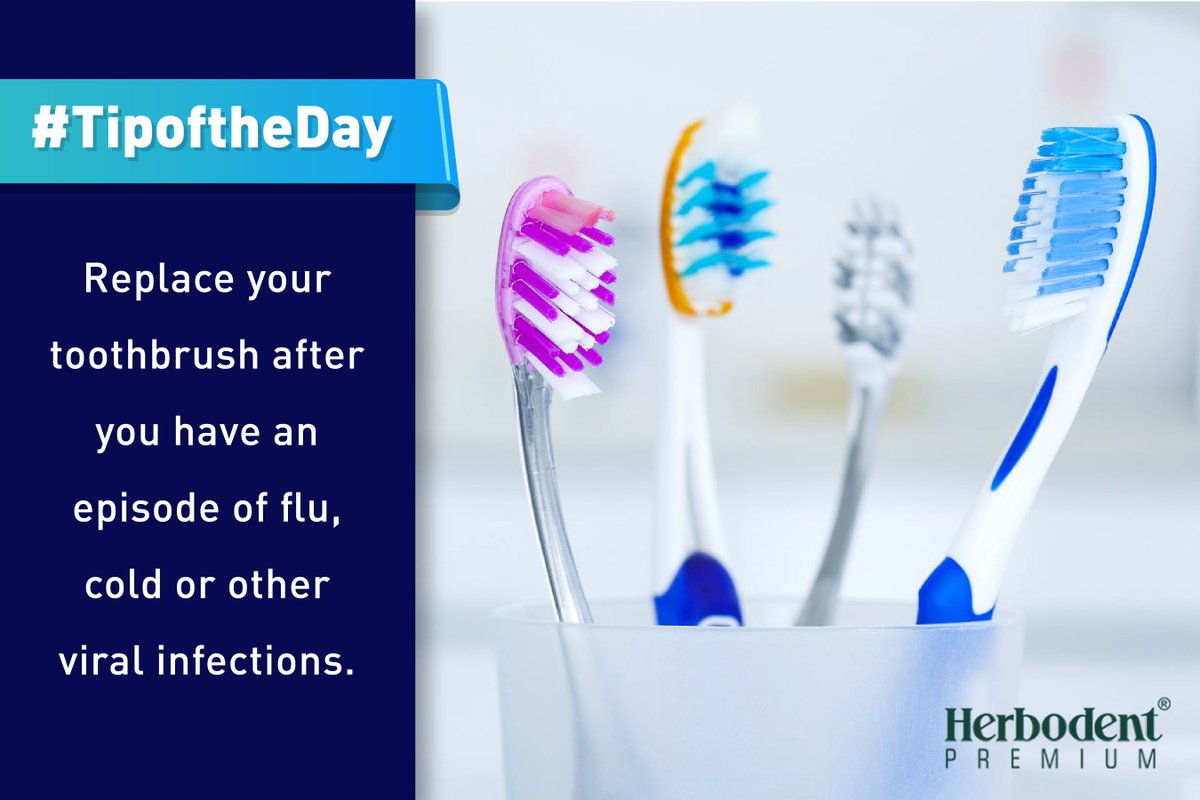 herbodent90's tweet photo. #TipOfTheDay
Notorious microbes can implant themselves on the toothbrush bristles leading to re-infection. So make sure to get a new toothbrush after you’ve been sick so you don’t re-infect yourself. https://t.co/hDcxbkEMVa