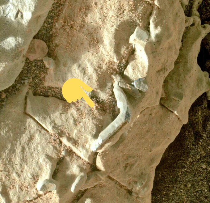 Curiosity Rover Spots Weird Tube-Like Structures on Mars https://t.co/UvCan59AyF https://t.co/2yfDoA<a href="/tag/facts"class="tags"><span>&#35;facts</span></a><a href="/tag/thot"class="tags"><span>&#35;thot</span></a><a href="/tag/bihyounasty"class="tags"><span>&#35;bihyounasty</span></a>