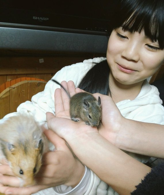 Twitterのコスプレ画像48