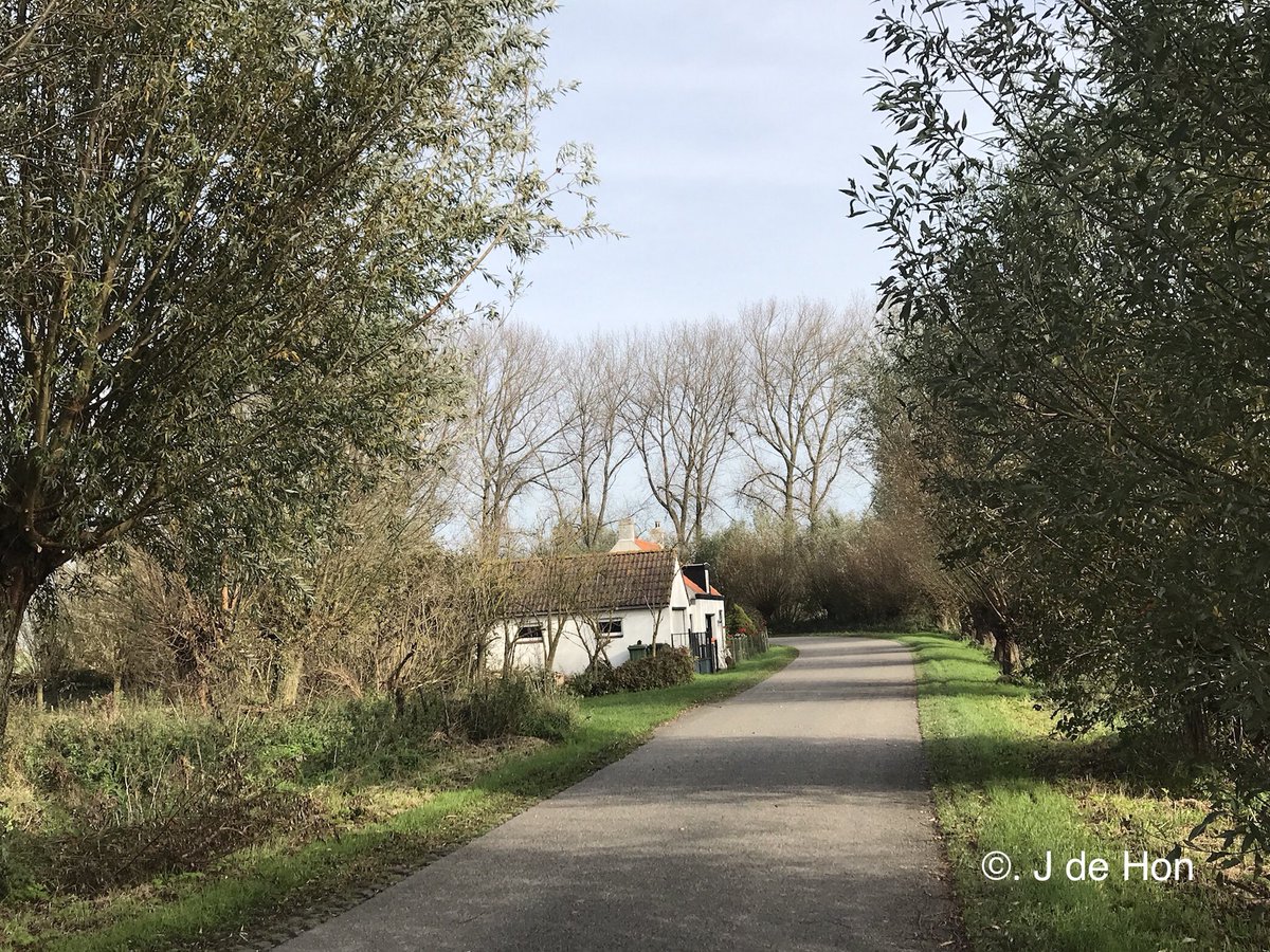 hon_joke's tweet photo. Goedemorgen allemaal een fijn weekend 
#natuur de  #marolleput de #Blikken # fietsen #knooppunten  ...#Nieuwvliet #Groede ...    1 Nov 2017 https://t.co/ozRycqP2qK