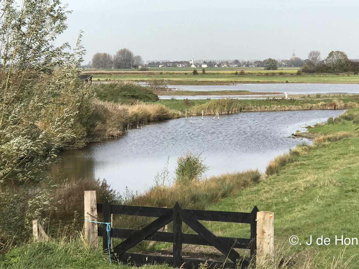 hon_joke's tweet photo. Goedemorgen allemaal een fijn weekend 
#natuur de  #marolleput de #Blikken # fietsen #knooppunten  ...#Nieuwvliet #Groede ...    1 Nov 2017 https://t.co/ozRycqP2qK