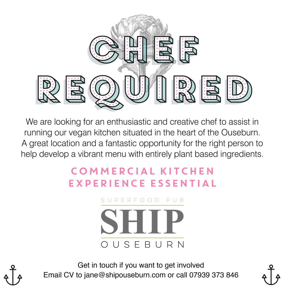 Is this you? New year, new job? #jobs #chefs #veganchef #vegan <a href="/GuardianJobs/">Guardian Jobs</a> @NEVeggies <a href="/GovernmentJobs/">Addsterra Personal</a>