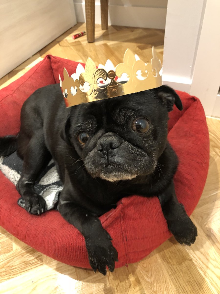 Ulibalear's tweet photo. Este año he pillado al Rey Baltasar de incógnito. #Pug https://t.co/Ux5aE24JMJ
