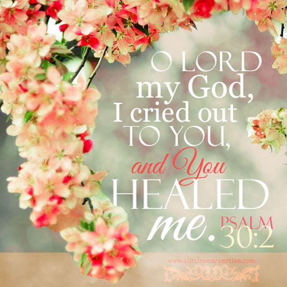 ElizabethSteyn tweet picture