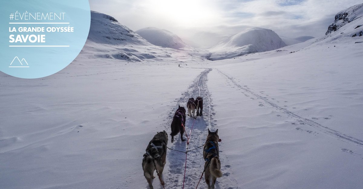 Pierre Vacances On Twitter Une Course De Chiens De