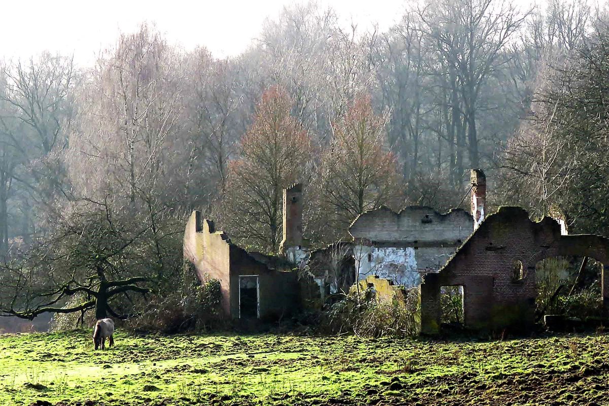 MooisteRoutes's tweet photo. Wandelen bij Rheden (Gelderland) https://t.co/YrReMS3K5n

Toppensnellen is een pittige maar prachtige natuurroute in een uniek stukje Nederland. 
Met veel klim- en daalwerk voert hij u over de #Veluwezoom en langs de ...

#Rheden #Gelderland #wandelen #natuur #walking #nature https://t.co/1jQooCmgWH