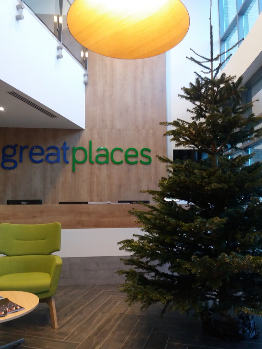 our @MyGreatPlace Christmas tree has been beautiful. Now it is time to turn it into a wildlife habitat #homesforpeople #homesforwildlife