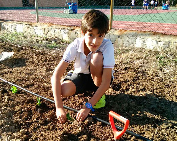 Colegio ECOS tweet media