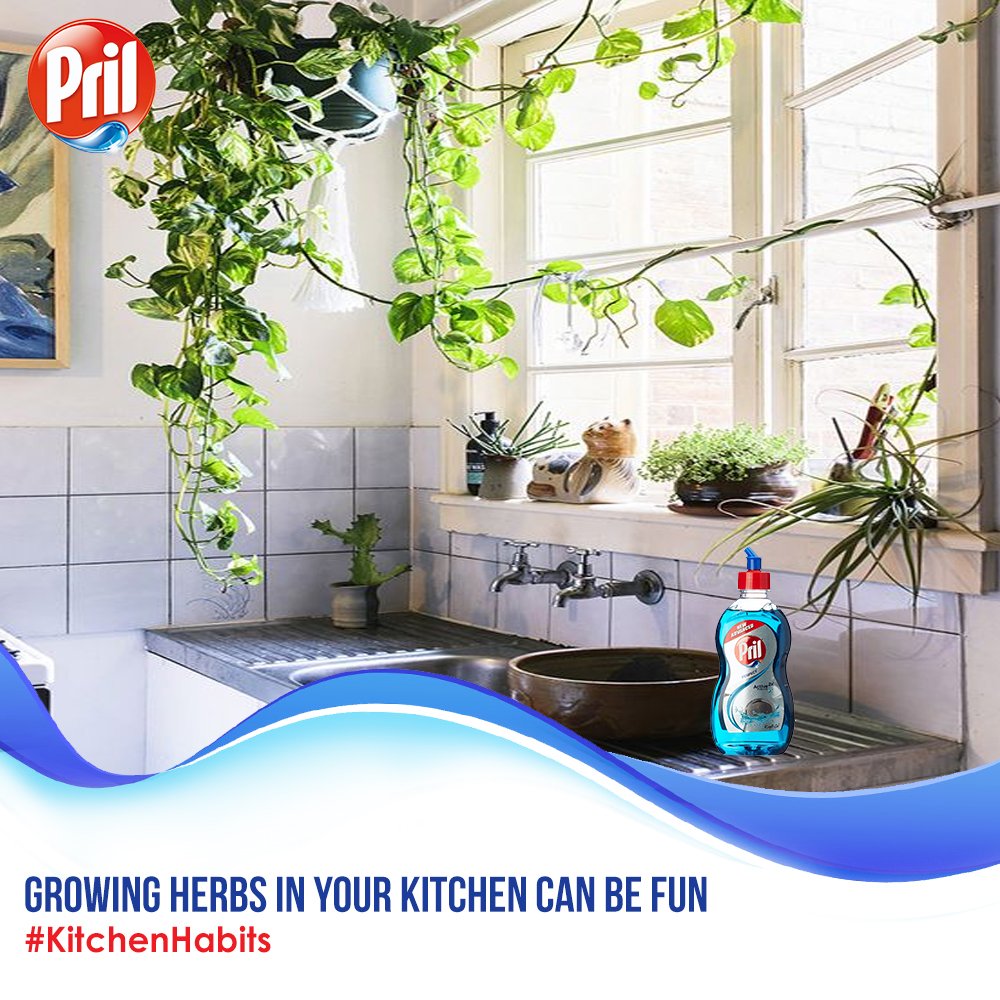 PrilIndia's tweet photo. Growing herbs indoors is a great way to recycle #kitchen waste and enjoy fresh aroma all year long. #Pril https://t.co/qwj3nM8oJw