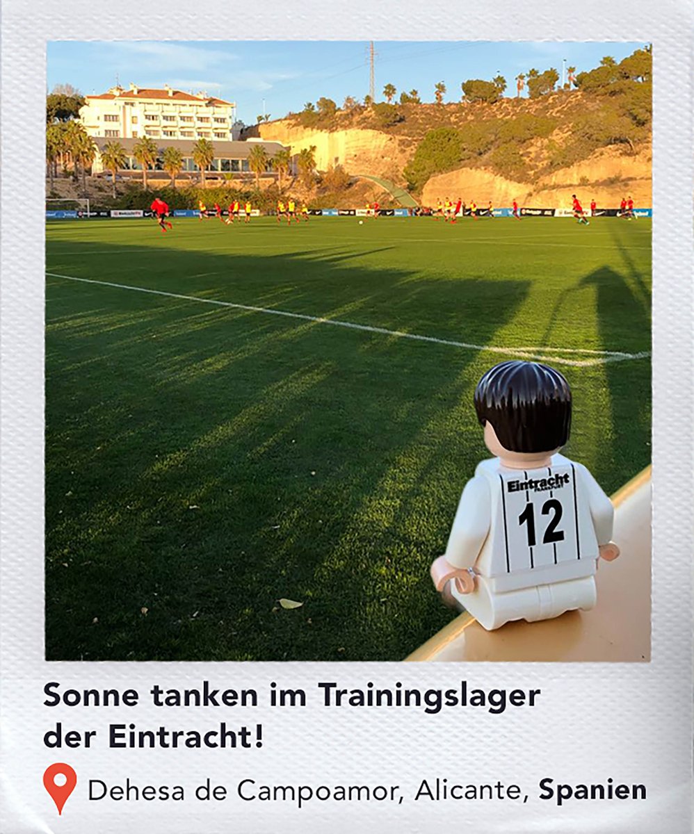 IndeedDeutsch's tweet photo. Spieler gefunden! Charly macht einen kleinen Abstecher ins Trainingslager der @Eintracht im spanischen Alicante. Traumhaftes Wetter und den Jungs bei der Arbeit zuschauen. So kann 2018 beginnen! #RichtigePosition #SGE #Eintracht #ArbeitenwoandereUrlaubmachen #Trainingslager https://t.co/WSDJhcApqM
