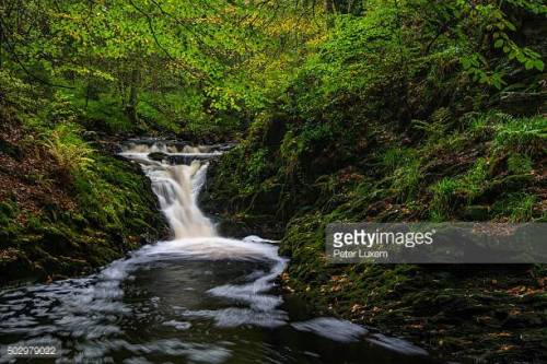 j3n11f's tweet photo. 01-06 The Leopold II waterfall on the Hoegne #hockai... https://t.co/YAwMDaTxWc https://t.co/1bfZof90wH