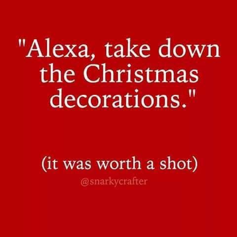 Atp On Twitter Alexa Take Down The Christmas Decorations Alexa Alexafail Christmasdecorations