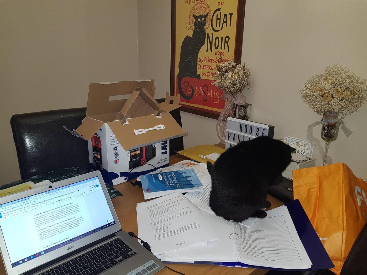 rickrichwaller's tweet photo. Bubs wants to help my micro teach assignment for PTTLS. but not he under stands inclusive learning or the learning environment. #pttls #level3teaching #catsaredicks https://t.co/hxfz95HcUY