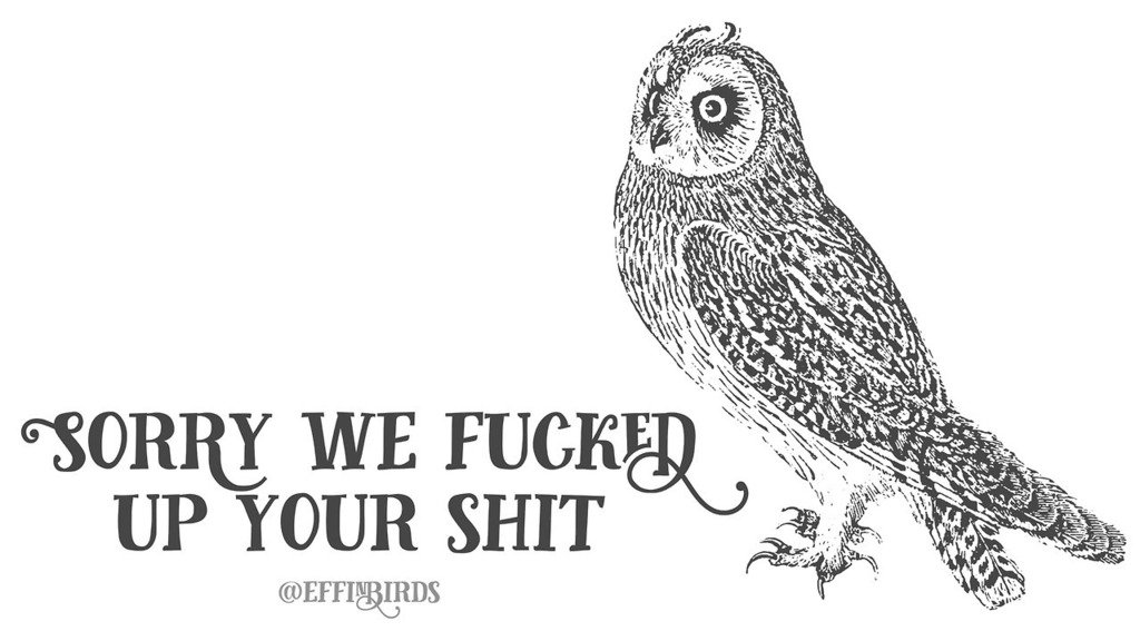 EffinBirds's tweet photo. https://t.co/hEjW9BBaLt