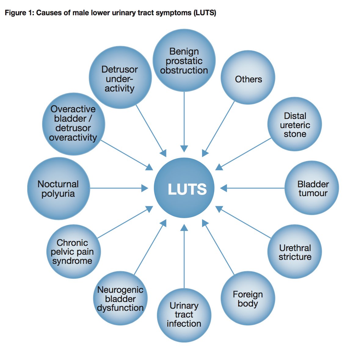 Kari Tikkinen (@karitikkinen) on Twitter photo #eauguidelines on male LUTS highlight multifactorial etiology: in any man complaining of LUTS, several factors may be contributing. #EAU18 uroweb.org/guideline/trea… #eauguidelines on male LUTS highlight multifactorial etiology: in any man complaining of LUTS, several factors may be contributing. #EAU18 uroweb.org/guideline/trea…