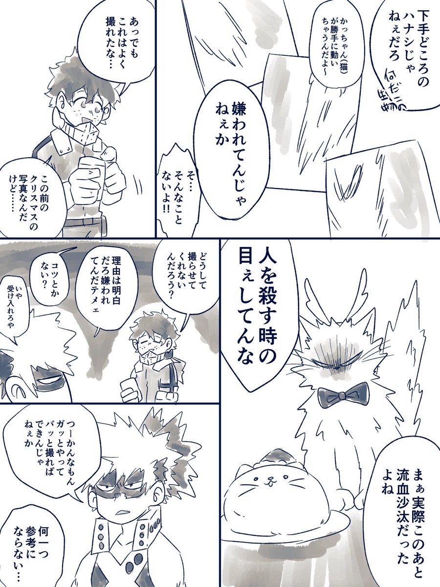 猫と勝デクと写真 