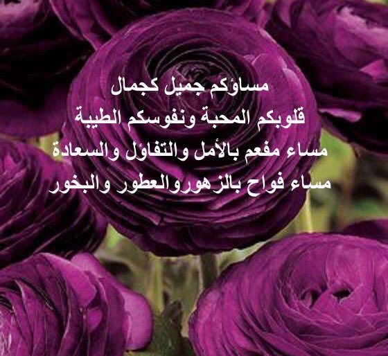 #كوكبة_متألقين