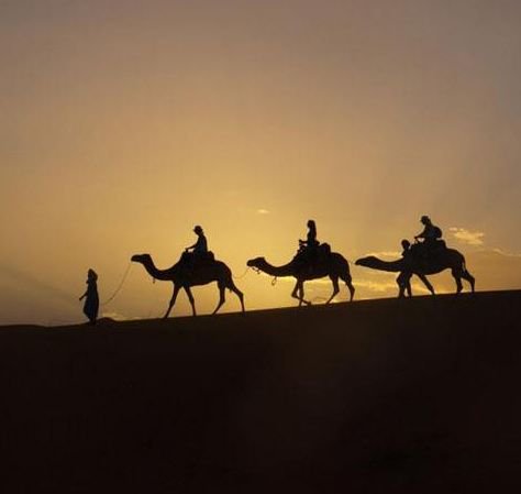 Santa Claus puede haber regresado al Polo Norte para descansar, pero esto no significa que la temporada de regalos navideña haya terminado, al menos no para todos los que ansiosamente esperamos la celebración del "Día de Reyes". 

#CharoRuizIbiza #happyholidays #fromIbizawithlove