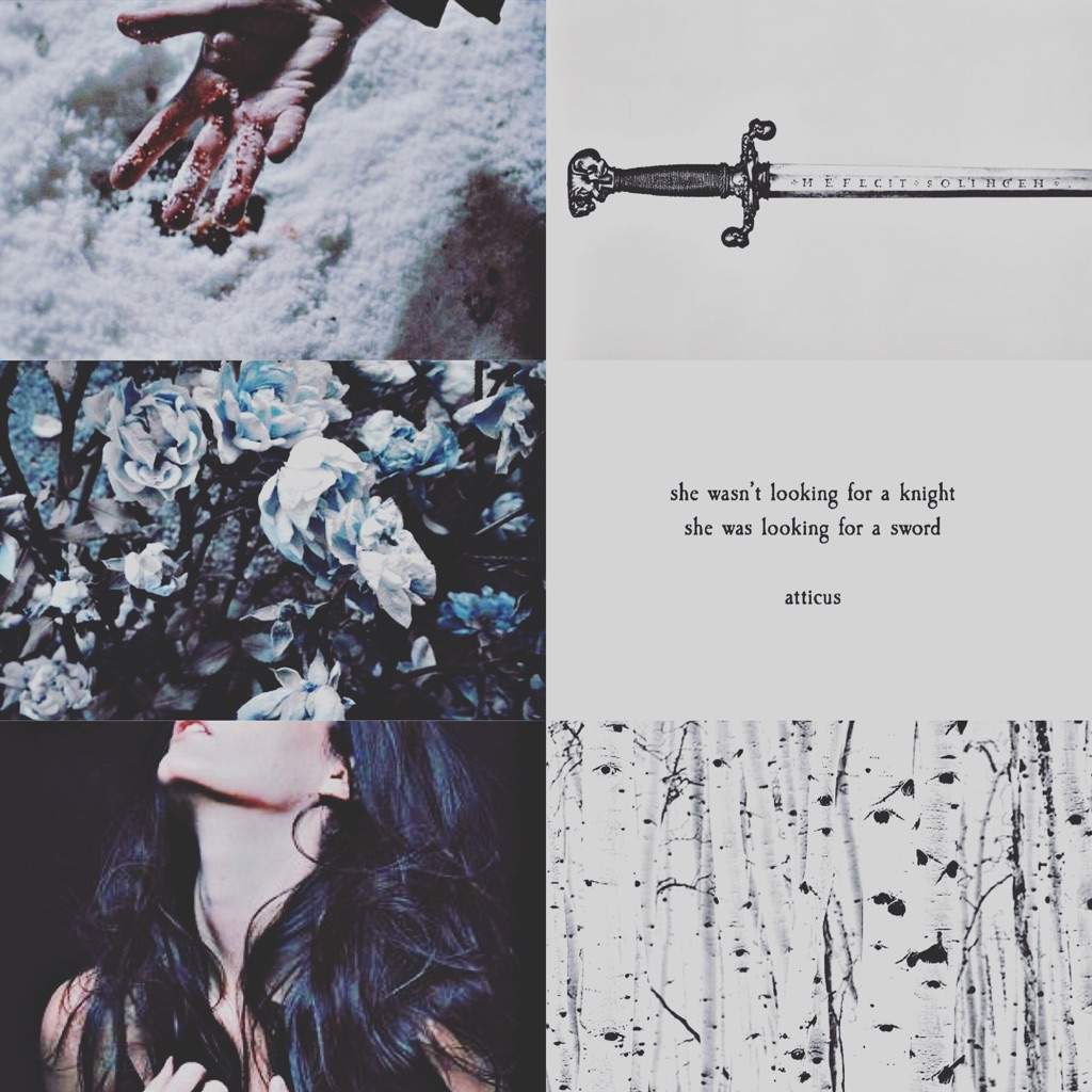 [  𝖫𝖸𝖠𝖭𝖭𝖠 𝖲𝖳𝖠𝖱𝖪  ]

— 𝖣𝖺𝗎𝗀𝗁𝗍𝖾𝗋 𝗈𝖿 𝖱𝗂𝖼𝗄𝖺𝗋𝖽 𝖺𝗇𝖽 𝖫𝗒𝖺𝗋𝗋𝖺 𝖲𝗍𝖺𝗋𝗄. —

— 𝖱𝗎𝖽𝖾 𝖺𝗌 𝖺 𝗐𝗈𝗅𝖿, 𝖽𝖾𝗅𝗂𝖼𝖺𝗍𝖾 𝖺𝗌 𝖺 𝗋𝗈𝗌𝖾. —

— 𝖶𝗂𝗇𝗍𝖾𝗋𝖿𝖾𝗅𝗅 —

¿𝖱𝖳?