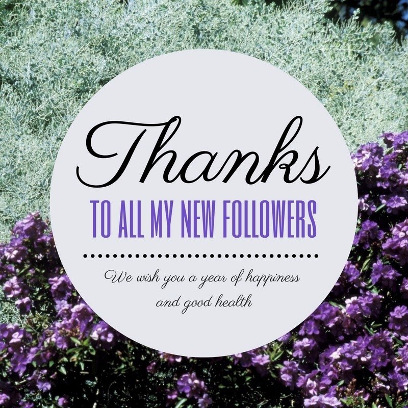 Scents_w_Jenn's tweet photo. Thank you so  much for liking and sharing my page. By liking and sharing my page with others you are supporting my business without buying anything.   Love Jenn https://t.co/uIf6Ww0AIe