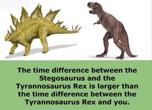 yalcinizbul's tweet image. Mind-boggling is the #timescale of the #Dinosaurs period in our earth's history.

90 million years from the #Stegosaurus to the #TyrannosaurusRex

and ONLY 66 million years from the Tyrannosaurus Rex to us.
.