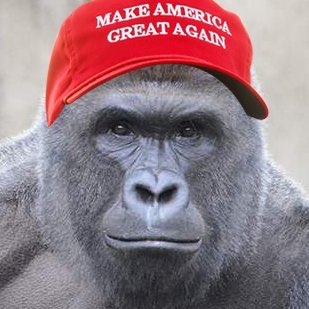 soup_du's tweet photo. For guests dining with us his evening, we will sadly not be broadcasting The Gorilla Channel on any of our 54 screens. However, all dishes will be served with a 3ft tall mashed potato sculpture in the shape of Harambe.
#GorillaChannel #Harambe #makeamericaapeagain https://t.co/Q3w4swNxi8
