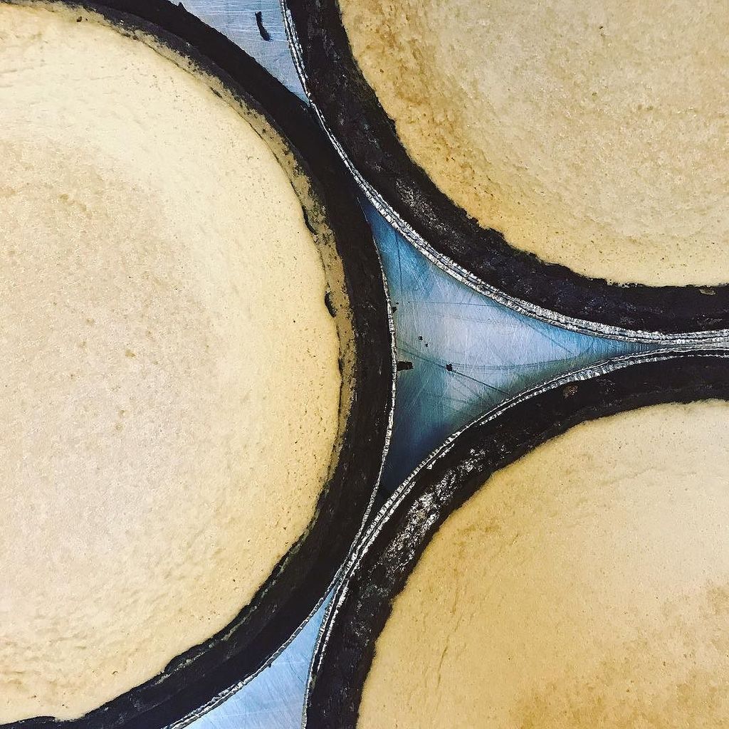 birdsblack's tweet image. #eggngrogg #pieweather❄️