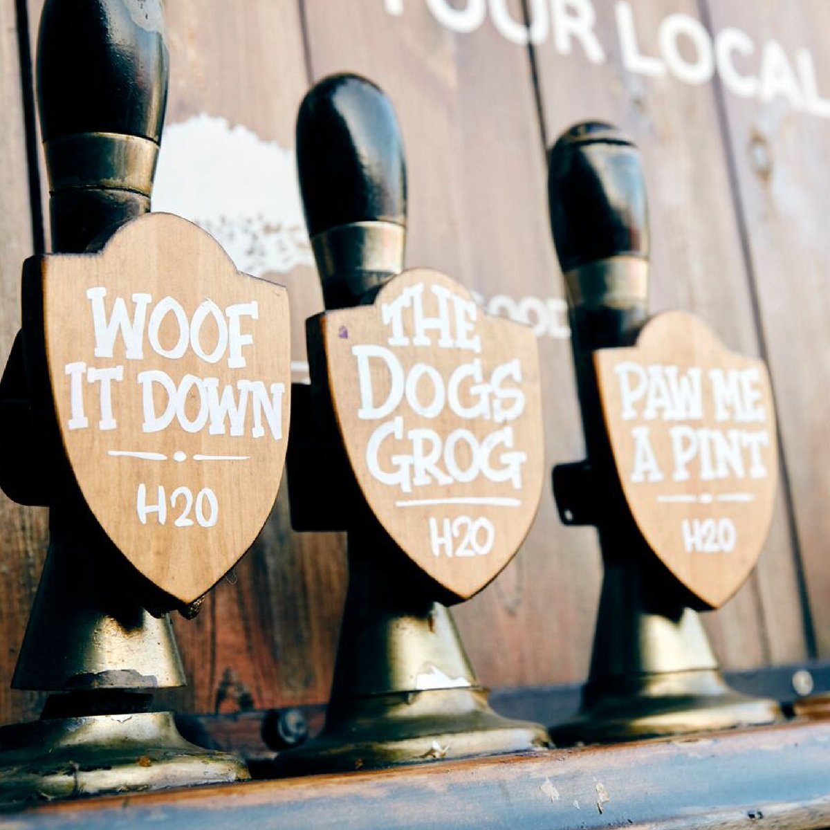 innonthegreenbr's tweet photo. If you didn't already know (where have you been?) you can bring your four legged, furry, canine friends in to keep you company whilst you enjoy yourself with a drink. We even have taps just for them in the garden!
#dogfriendlypub #welovedogs #pubsofbristol #pubsofgloucesterroad https://t.co/zllLUk4NpG