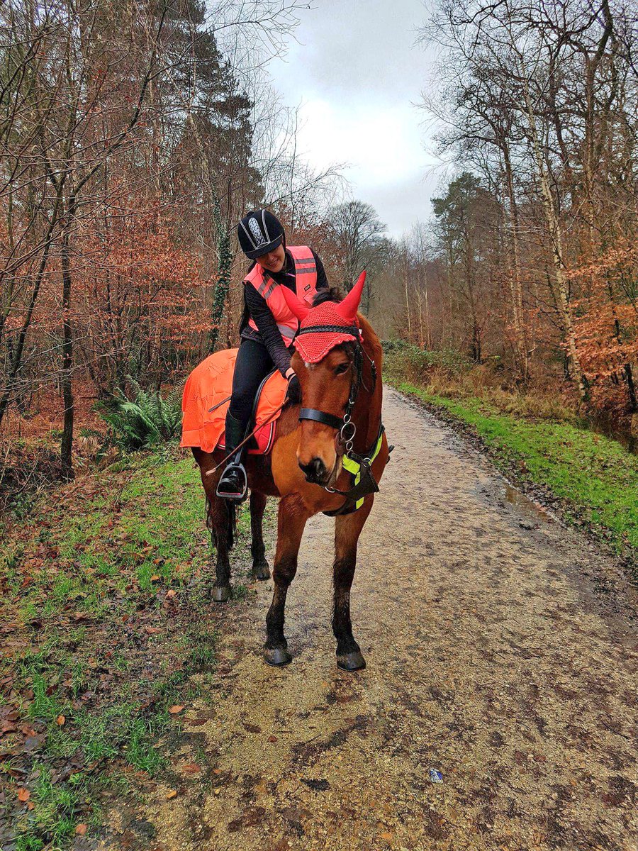 JoannaHolland80's tweet photo. 5.5miles in freezing cold weather. Couldn't feel my fingers and toes at the end ๐ but Summer was 90% well behaved ;) Good training hack with my husband jogging ;)
#traininghack #Hack1000miles #highviz https://t.co/2r3VakMf8G