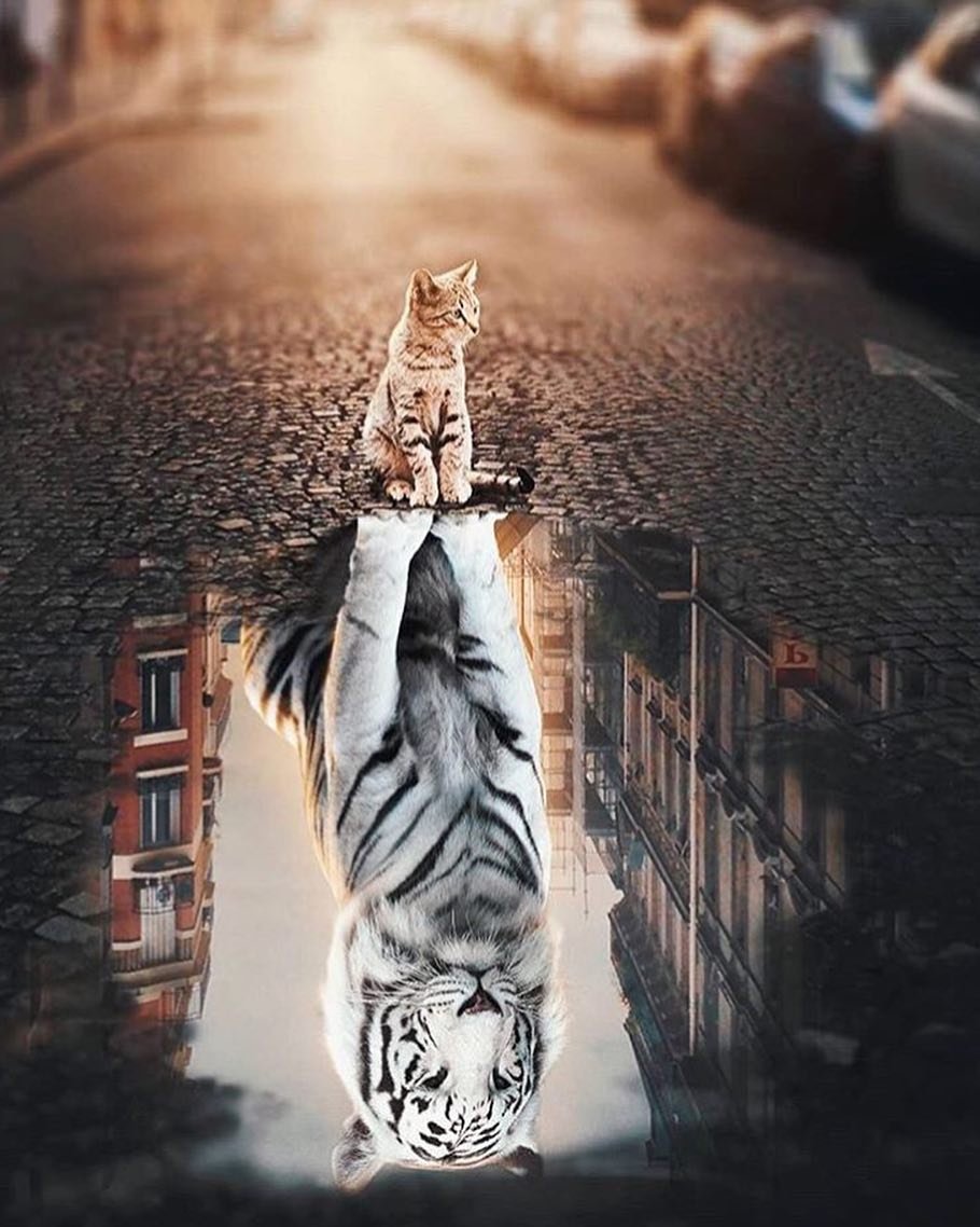 PhotoMove_'s tweet image. #photo #photography #photographer #photographers #foto #fotografia #fotografo #fotografos #fotografos_brasileiros #girl #woman #ensaio #ensaiosensual #instagood #instamood #picoftheday #photooftheday #tagsforlikes #canon #nikon #sigma #yongnuo #iphonesia #follow