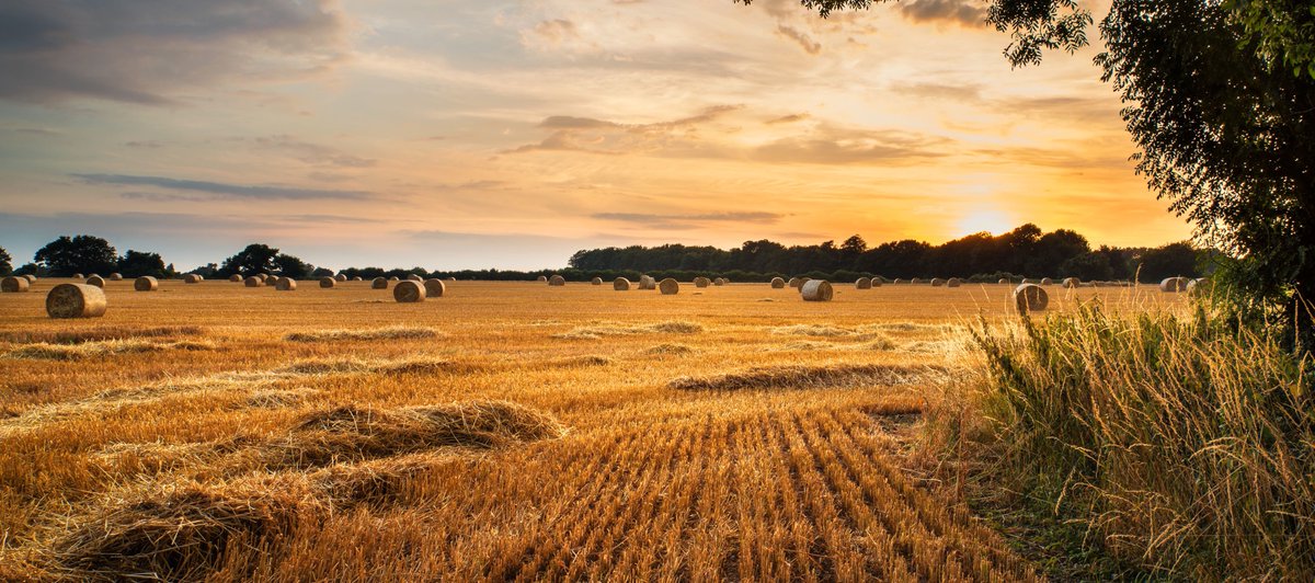 Chief Talent Officer tweet media