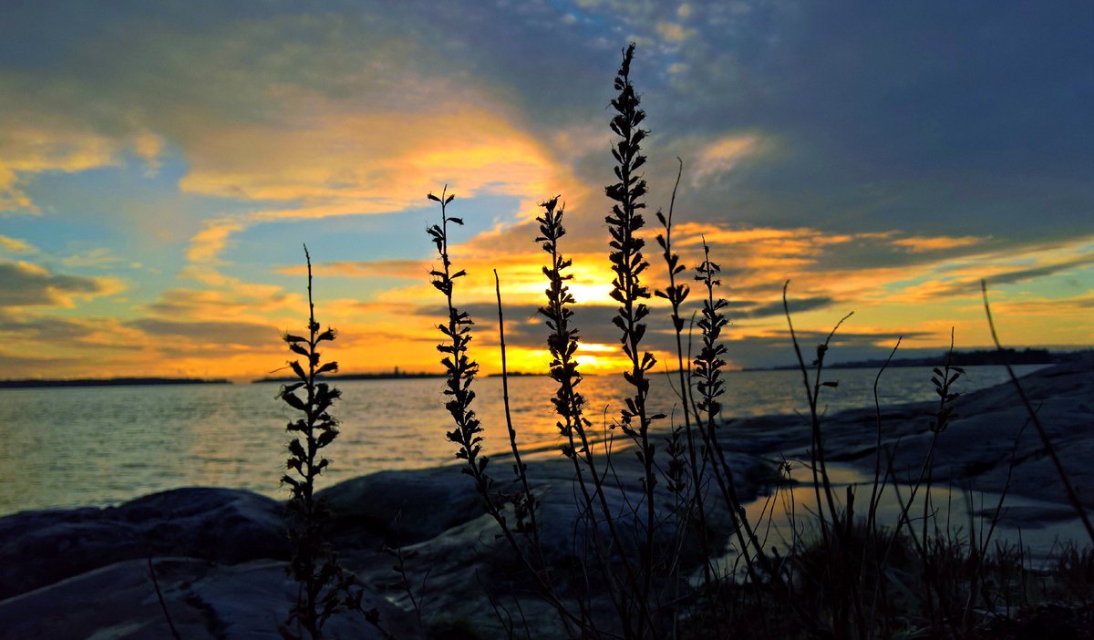 Few minutes before the sunset #Helsinki #Finland #Suomi #sunset #StormHour  #500px #500pxrtg #Photography #nature #winter #landscape #