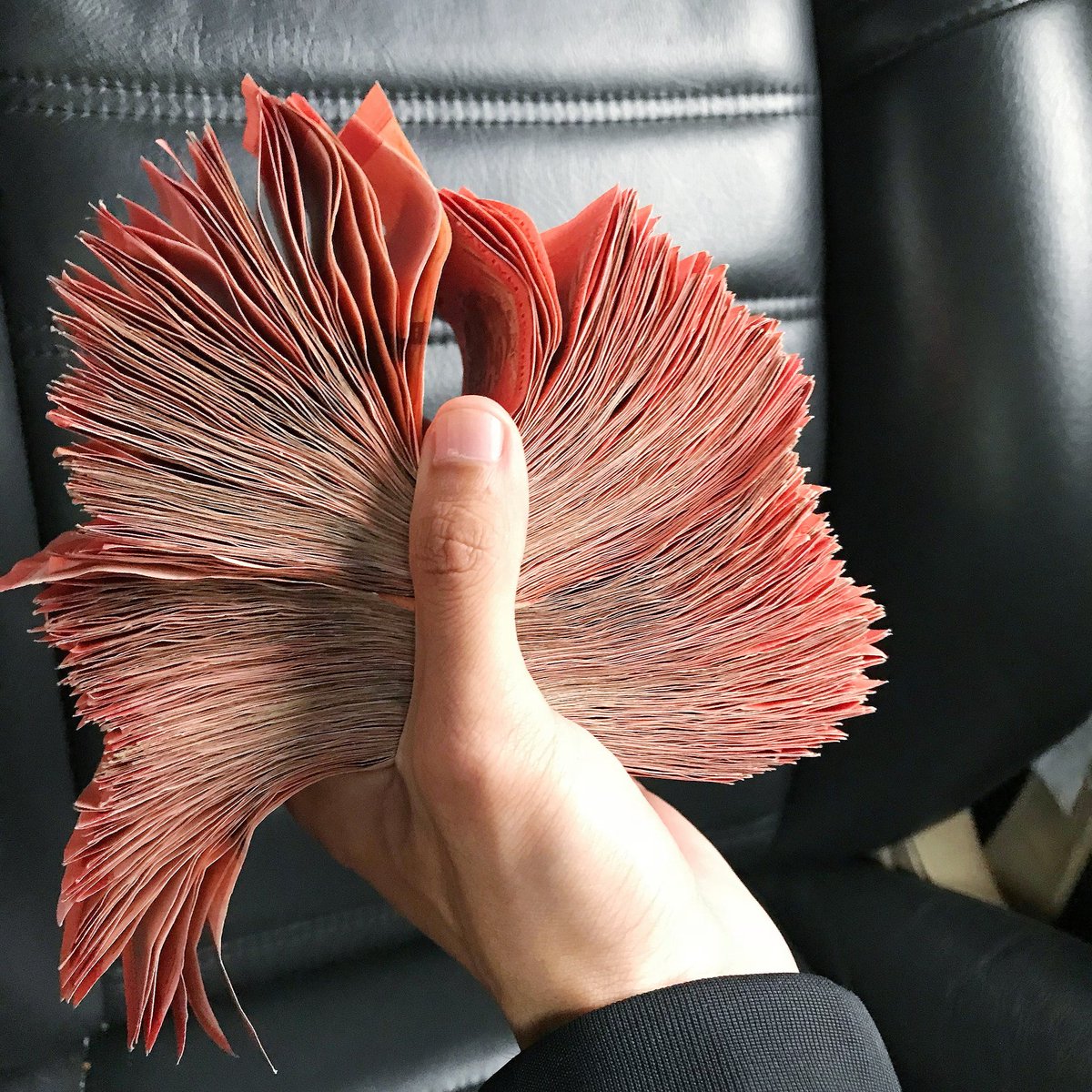 benanwar_'s tweet photo. Tabung duit merah 2017 selesai dibedah 😆
Cubaan pertama menabung.
1/5/2017 - 31/12/17.
Minimum simpan sehari rm10, seminggu rm70. 

Jumlah terkumpul rm4380 💵

Nikmat dia lain macam bila tgk duit merah bersepah. Azam tahun 2018 seminggu minimum 3 keping rm50. Ayuh! https://t.co/qavM0bdD1K