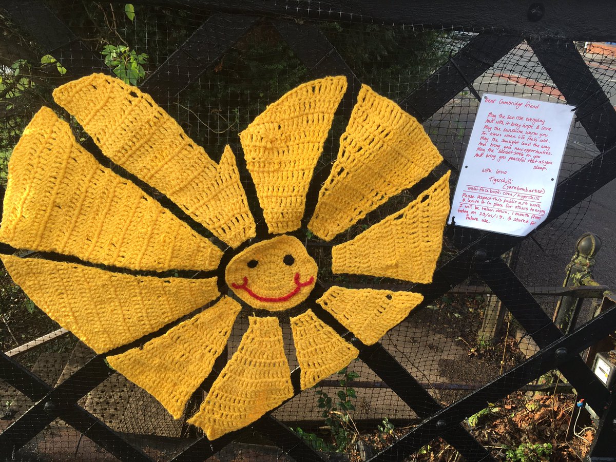KatyCosh's tweet photo. Sunny gifts from #Cambridge yarn bomber @Tigerchilli brighten up grey winter days and can be a real life saver. #knitting #kindness https://t.co/zh3kaafTFG