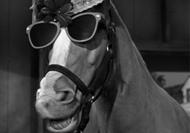 Stable Genius